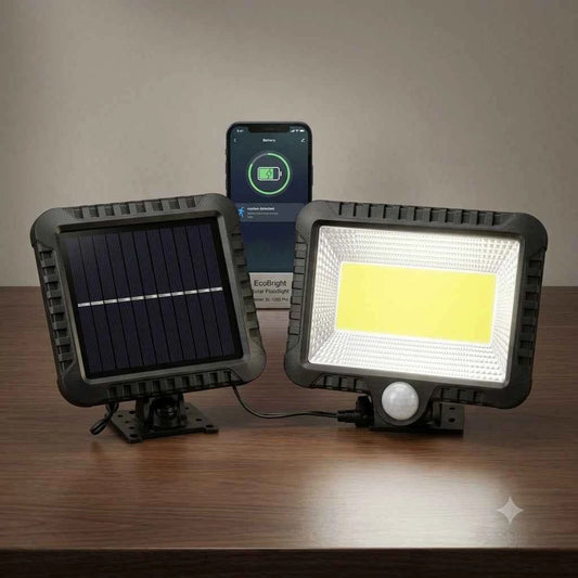 Faro LED Solare Raptor R-0448 con Pannello Separato e Sensore di Movimento IP65